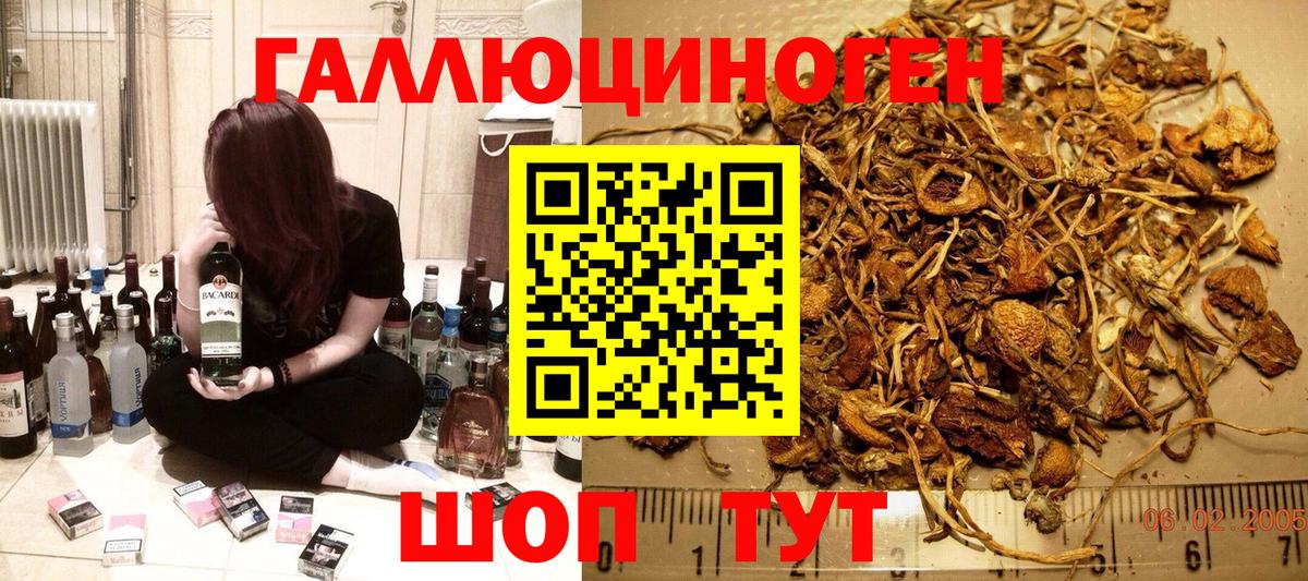 Галлюциногенные грибы Magic Shrooms  Вход с VPN  Псилоцибиновые грибы Psilocybe  Муравленко 